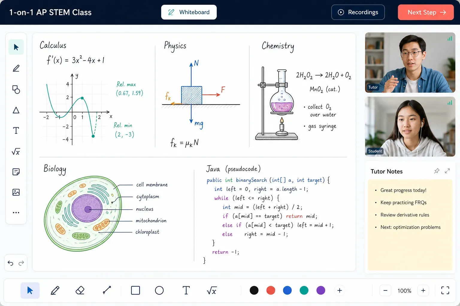 1-on-1 AP STEM class interface with shared whiteboard, tutor video, student video, calculus, physics, chemistry, biology, and Java notes