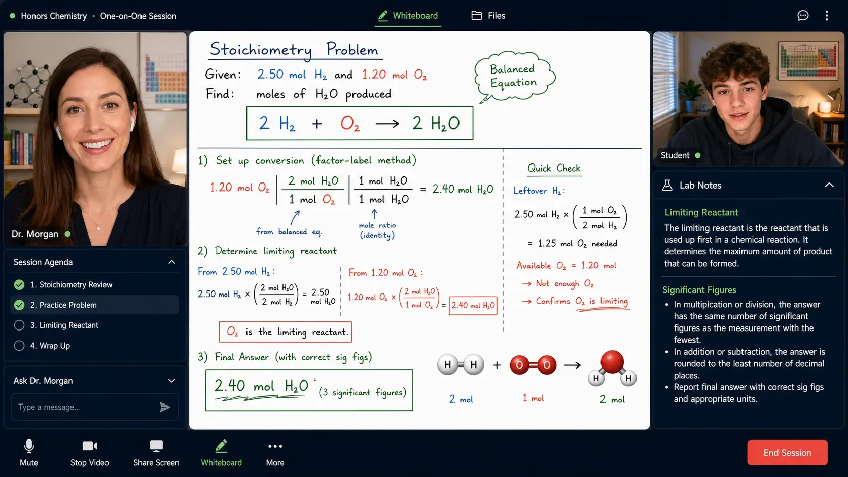 Live one-on-one Honors Chemistry tutoring session with a stoichiometry whiteboard